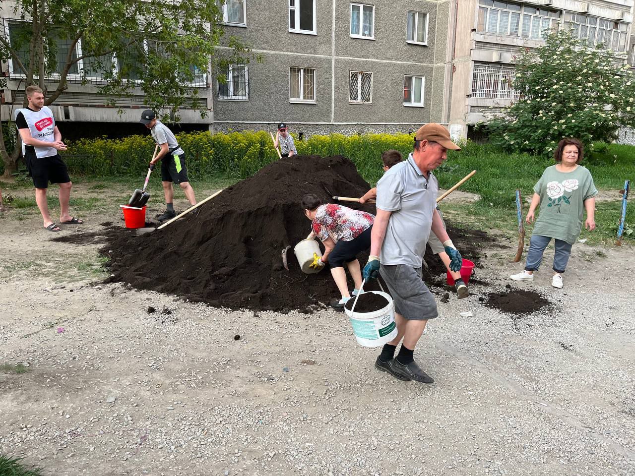 Обсуждая вопрос об озеленении дворов были использованы диаграммы